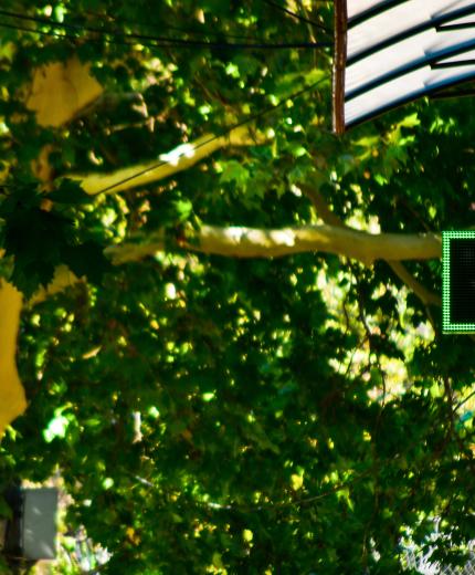 ¿Cómo afecta el calor a los medicamentos? 