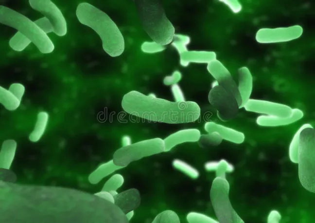 Test de H. pylori en la Oficina de Farmacia, Reino Unido