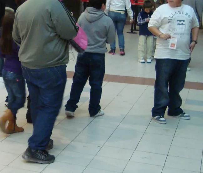 Abordaje de la obesidad infantil desde la OF, Barcelona Abordaje de la obesidad infantil desde la OF, Barcelona