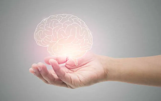montaje-de-mano-con-cerebro persona-con-imagen-de-cerebro