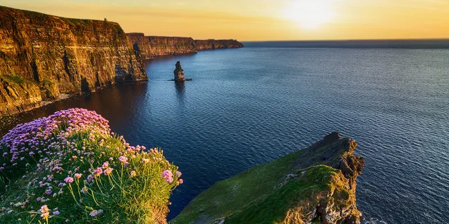 Guía para trabajar en la farmacia de Irlanda Guía para trabajar en la farmacia de Irlanda