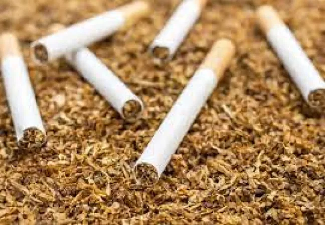 cigarros sobre una cantidad grande de tabaco