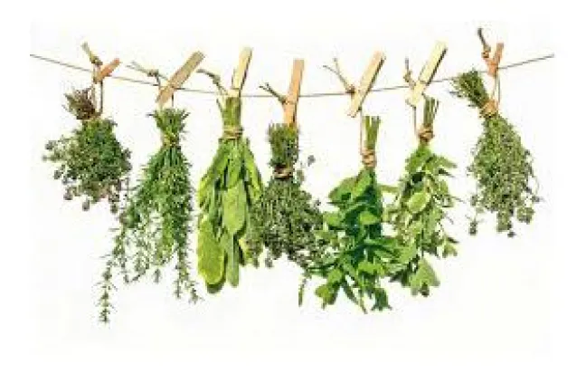 Medicamentos a base de Plantas Medicinales solo en la Farmacia, pregunta al Farmacéutico, Castilla Medicamentos a base de Plantas Medicinales solo en la Farmacia, pregunta al Farmacéutico, Castilla