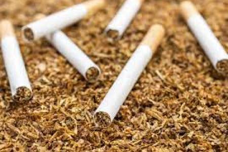 cigarros sobre una cantidad grande de tabaco