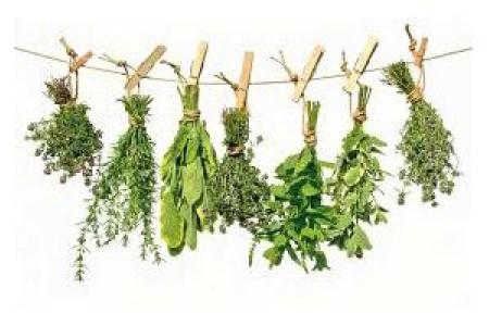 Medicamentos a base de Plantas Medicinales solo en la Farmacia, pregunta al Farmacéutico, Castilla 