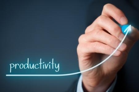 ¿Cómo puedo conocer la productividad y eficiencia de un negocio?